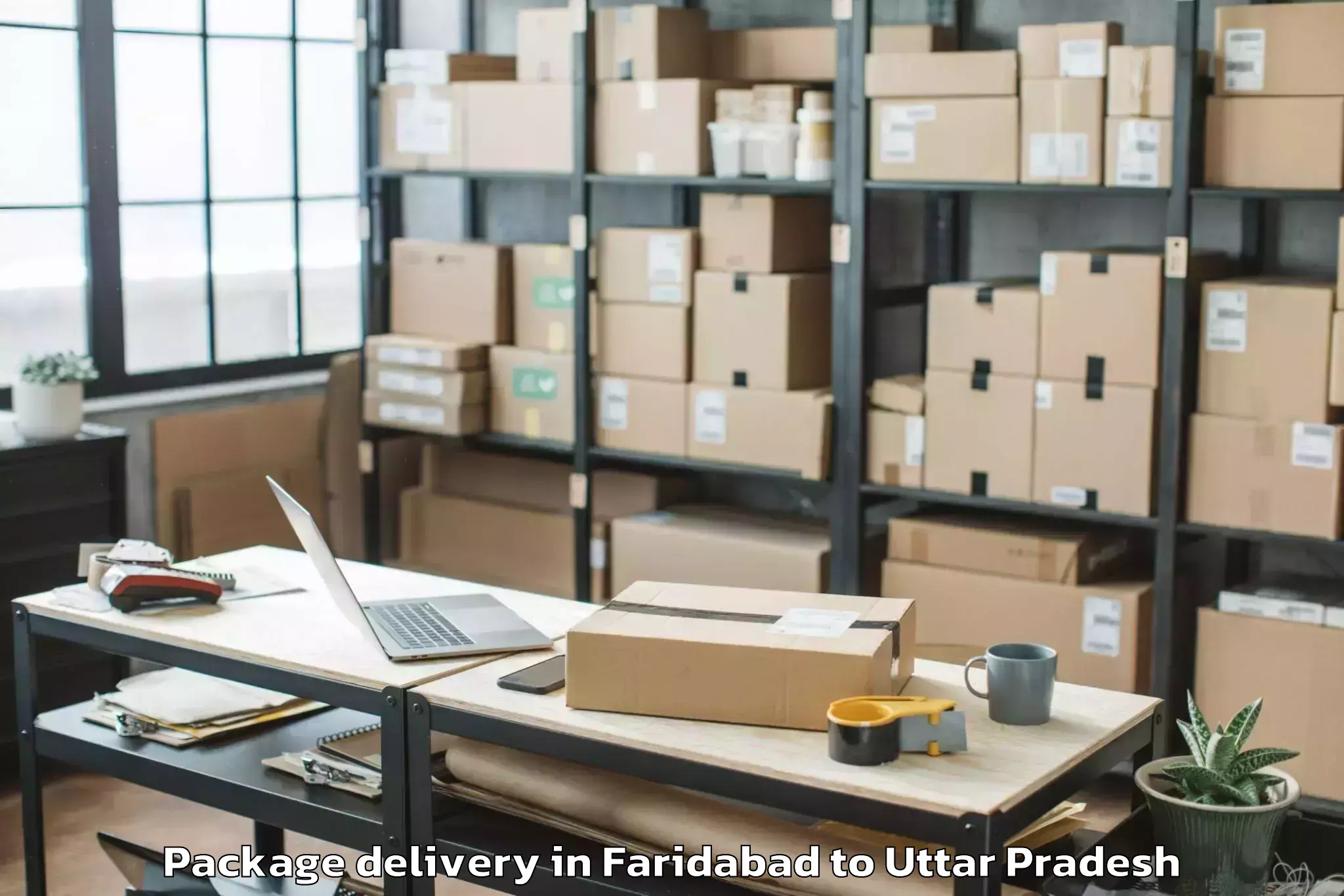 Trusted Faridabad to Samthar Package Delivery